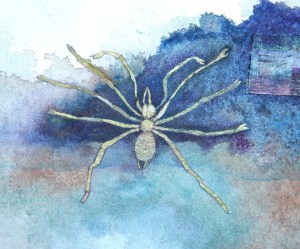 MGlikson_Singing spider_from Dear Safia_video, watercolour, paper_2013
